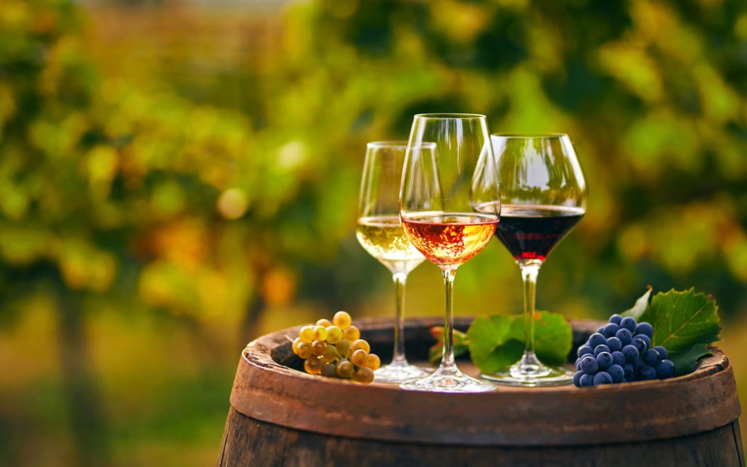 Caloriile vinului – cum calculăm caloriile unui pahar de vin?