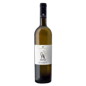 Vin alb Antik Sauvignon Blanc sec - cramaviisoara.ro